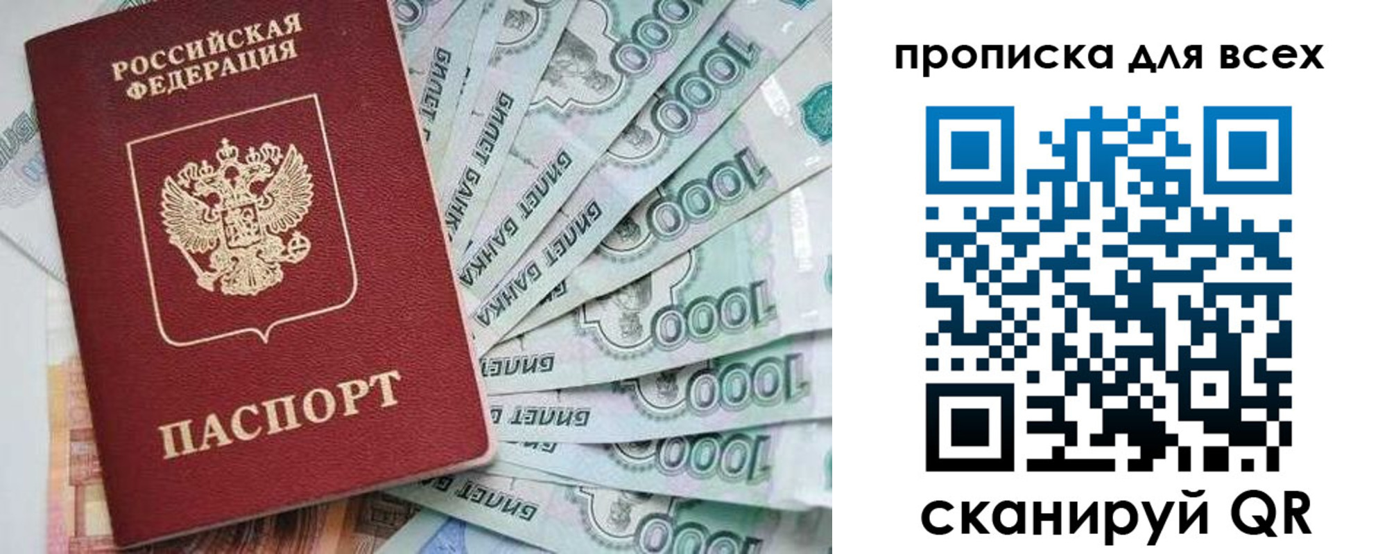прописка гарантия в Рошале